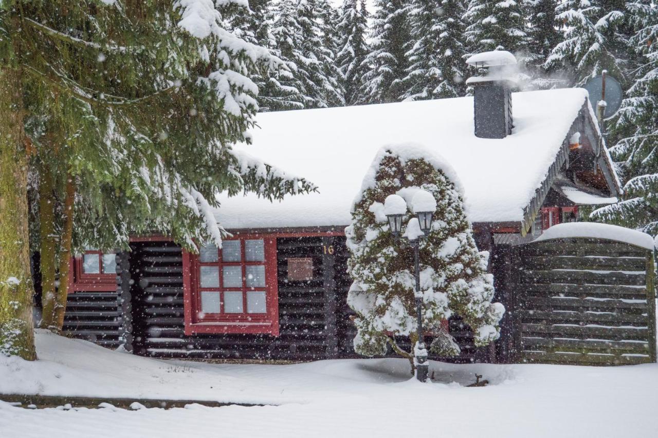 Ferienhaus Naturliebe Винтерберг Екстериор снимка